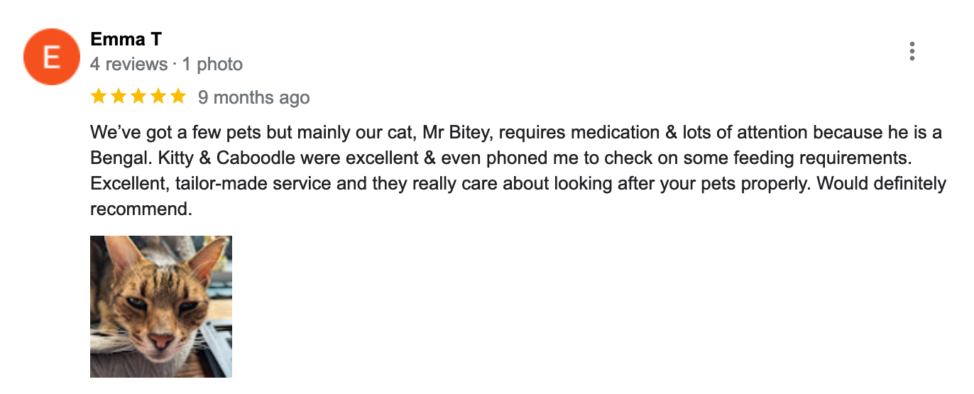 We’ve got a few pets but mainly our cat, Mr Bitey, requires medication & lots of attention because he is a Bengal. Kitty & Caboodle were excellent & even phoned me to check on some feeding requirements. Excellent, tailor-made service and they really care about looking after your pets properly. Would definitely recommend.